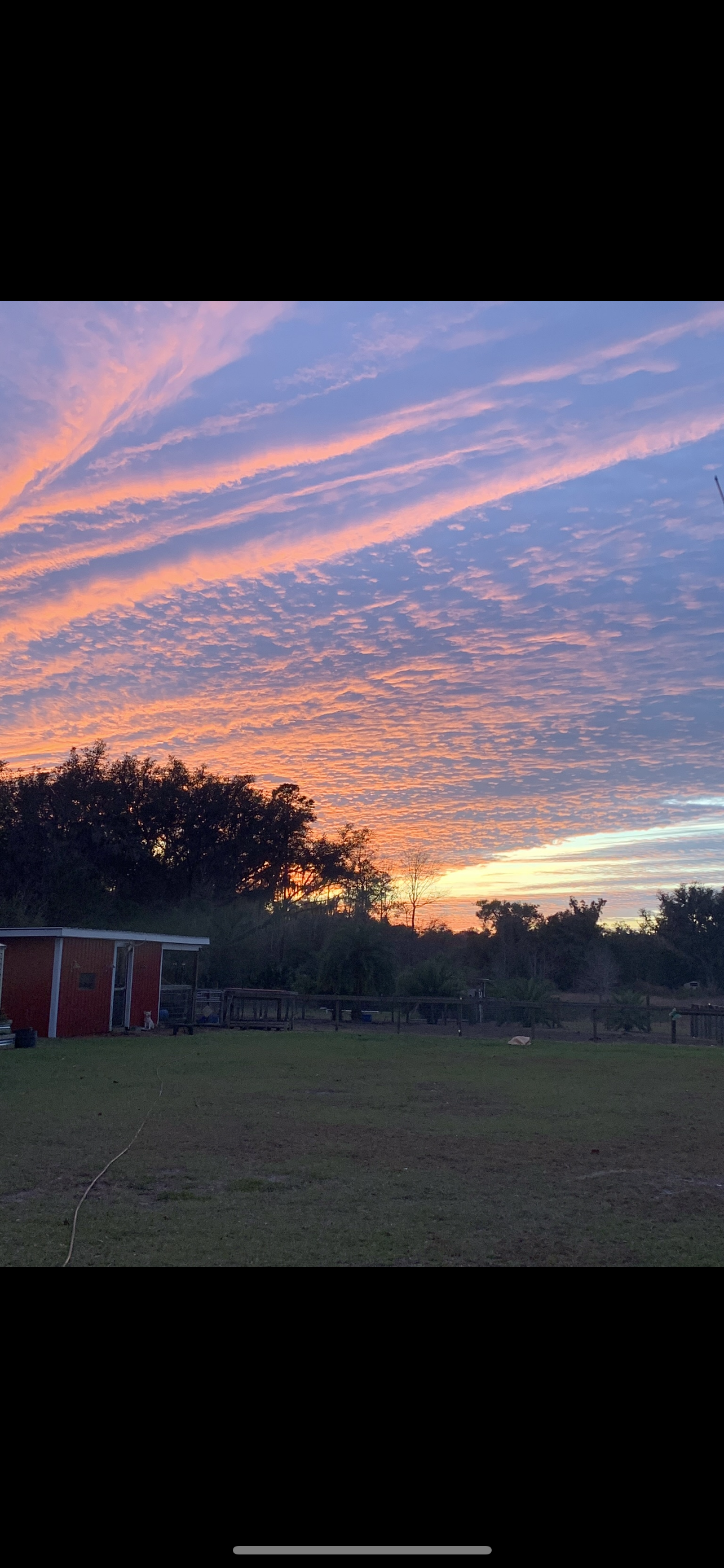 March 16th-17th 2024 ..Hidden Tang Knife / Custom Sheath Class